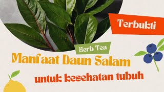 Manfaat daun salam untuk kesehatan tubuh