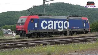 SBB 482 039 in Rekingen