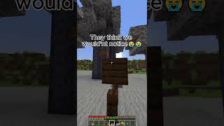 wait till the end #fy #fyp #minecraft #shorts