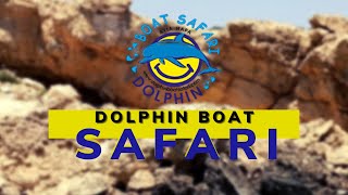 Dolphin Boat Safari Agia Napa