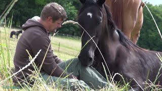 Learning the Trust Technique