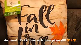 Walmart Fall Haul Y’all! New Fall Pillows!