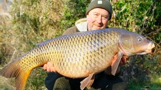 ebro carp