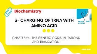 Charging of trna with amino acid | CHAPTER#4- THE GENETIC CODE, MUTATION AND TRANSLATION