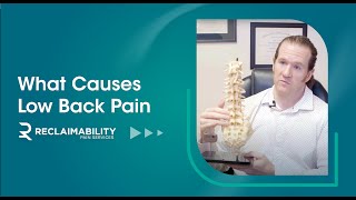 What Causes Low Back Pain | ReclaimAbility