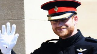 Prince Harry Steps Into Sports Broadcasting at Grey Cup Pre Show, Promotes Invictus Games