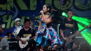 Mawar Bodas - Ayu Arsita | New Pallapa Brotherhoods 2017