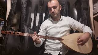 40 cm Dut Yaprak Tekne Elegance Profesyonel Serisi Kısa Sap Bağlama / Fishman Ekolayzer