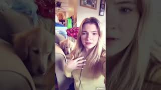 Who remembers musical.ly? #dogs #musically #shorts #throwback #nostalgia #dogs #cutedogs