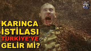 Karınca İstilası Türkiye'ye Gelir Mi?