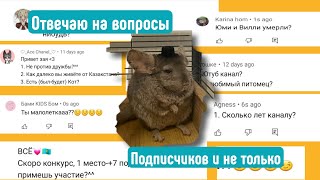 💭ОТВЕЧАЮ НА ВОПРОСЫ💭//сколько мне лет?❓// яХрумка