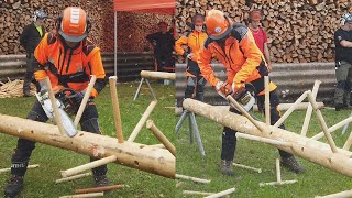 Mittelfränkische Waldarbeitsmeisterschaft in Villersbronn 2023 schnell vs sehr schnell