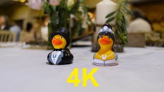 4K Free Stock Footage: Ducks, Groom and Bride (2 videos)