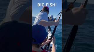 Big Fish! #reels #shorts #fishing #saltwaterfishing #trolling #bigfish