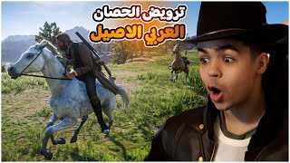 ريد ديد ريدمشن 2 | الحلقة 4 ترويض الحصان العربي الاصيل النادر في ريديد 2 | RDR 2