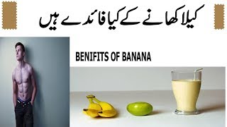 Benefit of  eating Banana urdu \ hindi / banana react good on health