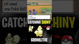 Catching✨SHINY✨ GROWLITHE! #shorts #shinyhunting #shinypokemon #pokemon #gaming