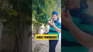 Jurus ngambil jambu #ubbahrulchannel1079 #ketawangakak #shorts