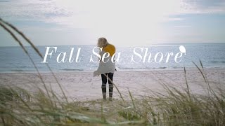 WildBird - Fall Sea Shore