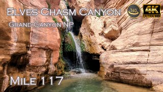 Elves Chasm Canyon - Mile 117 - Grand Canyon NP - Colorado River - V360