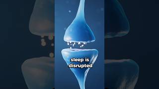 Alcohol Effects on Sleep | Andrew Huberman #shorts