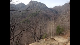 Escursione da Cantalupa alla Rocca Castellar 17_03_2023