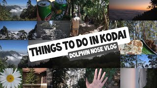 Kodaikanal Dolphin Nose trek vlog #kodaikanal #dolphinnose #kodaikanalvlog