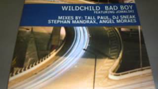 Wildchild -- Bad Boy (Sneak's Ragga House Mix)