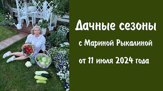 Дачные сезоны с Мариной Рыкалиной от 11 июля 2024 года