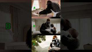 Which one is your favourite one? #catlover #funny #cute #catvideos #gorillafun #gorilla geous