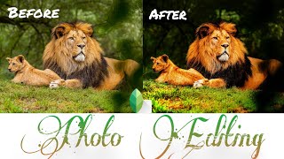 Photo Editing || Before/After || Selection || Protrait || Snapseed Tutorial