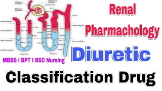 Diuretics Classification Pharmacology lecture in Hindi। Diuretics Classif  For MBBS BPT BSC Nursing