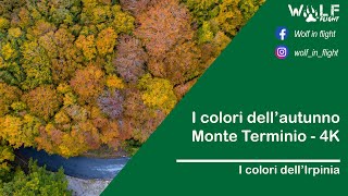 I colori dell'autunno - Monte Terminio - Irpinia - 4K drone