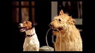 Frolic Werbung Hundefutter 1993 - 2001