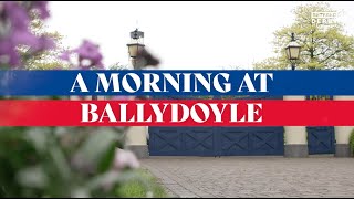 Spend a morning at one of racing's greatest facilities - Ballydoyle