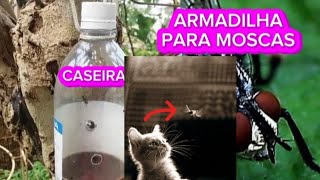 Moscas se livre delas com armadilha caseira e de custo zero muito fácil rápido resultado garantido