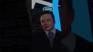 *THE REAL ELON MUSK* In VRChat (Definitely Not Fake) 😂😂😂