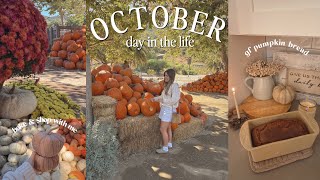 Hello October 🍂 | Morning at the Farm, Homemade Pumpkin Bread, & Health Update!