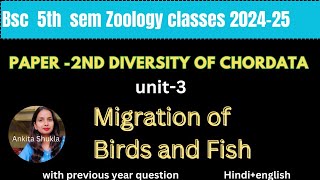 Bsc 5th sem zoology class|P2|Migration of Birds & fish|With pyq, Hindi+English#bsc5thsemester #bsc