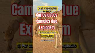 "Perguntas Incríveis Sobre Camelos Que Explodem." Teste Seus Conhecimentos! #curiosidades #camelo