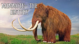 Mammoth - The History