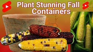 Planting a Couple of Fall Containers & Harvesting Ornamental Corn"