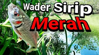 MANCING MANIA MICRO FISHING