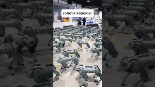 Robotik Köpekler Dünyayı Ele Geçiriyor