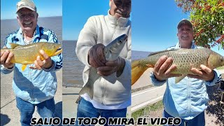 TODO ESTO PESCAMOS LISAS, DORADOS,CARPAS EN VICENTE LOPEZ  mira el video..