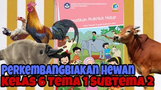 Perkembangbiakan Hewan | Materi Kelas 6 | Tema 1 Subtema 2 Muatan IPA