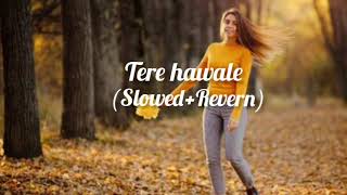 Tere Hawaale ~ Lofi [ Slowed + Reverb ] | Arijit Sing, Shilpa Rao | Sm Lofi