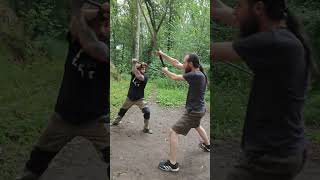 P.H.Mair-[1] The Zornhaw against the Thrust #longswordfencing #hema #paulushectormair #longsword