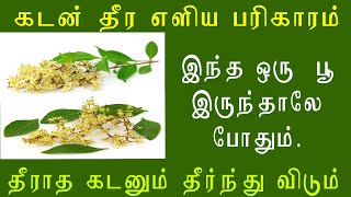 கடன் அடைய மருதாணி பூ பரிஹாரம்.கடன் அடைய எளிமையான  பரிஹாரம்.