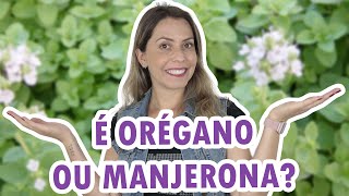 Qual a diferença entre MANJERONA e ORÉGANO? | Para que serve e como cuidar da MANJERONA?